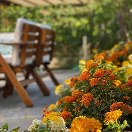 La Casetta Di Ludo * Ischia