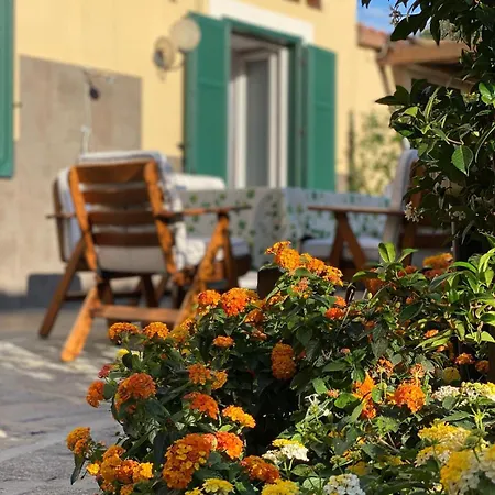 Apartman La Casetta Di Ludo